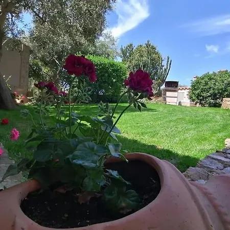 Feriehus Casa Avio A 400mt Dal Mare Vacanze A Chia Sardegna *